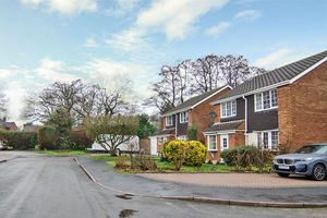 Photo 18- click for photo gallery